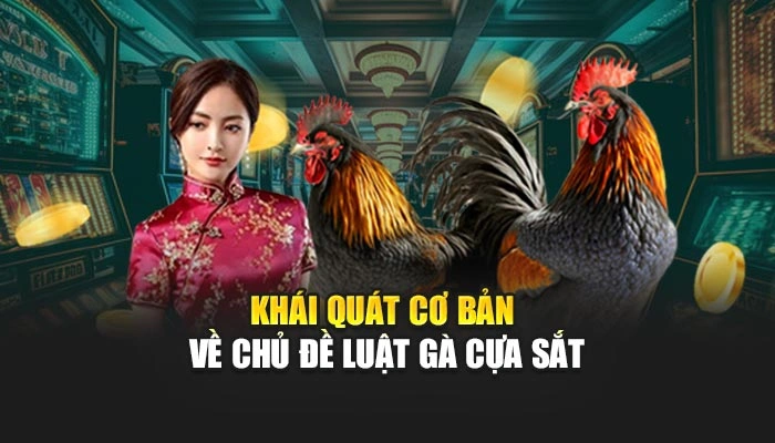Luật Gà Cựa Sắt Tại FEBET Chuẩn Xác, Dễ Hiểu Nhất 1 Khái quát cơ bản về chủ đề luật gà cựa sắt