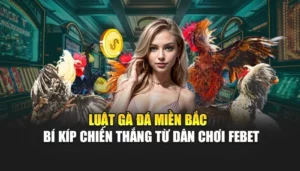 Luật Gà Đá Miền Bắc - Bí Kíp Chiến Thắng Từ Dân Chơi FEBET