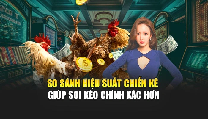 So sánh hiệu suất chiến kê giúp soi kèo chính xác hơn