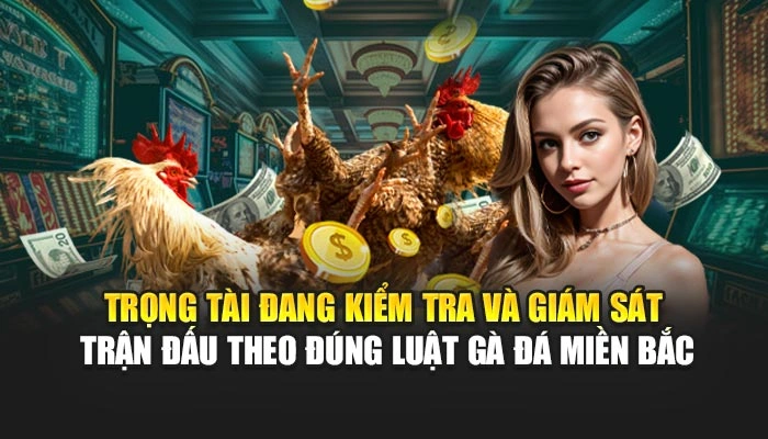 Luật Gà Đá Miền Bắc - Bí Kíp Chiến Thắng Từ Dân Chơi FEBET 2 Trọng tài đang kiểm tra và giám sát trận đấu theo đúng luật gà đá miền Bắc